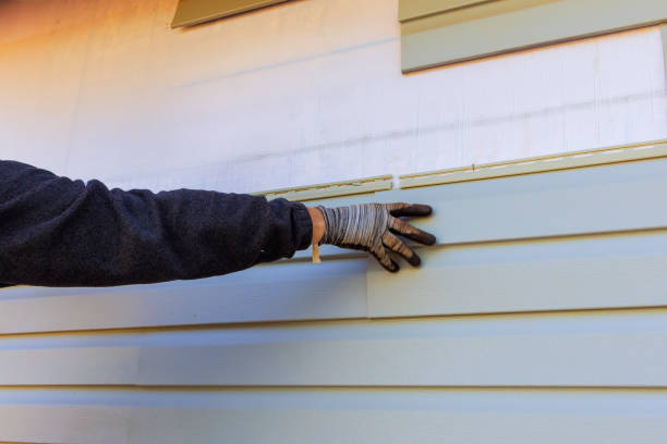 Best Siding Maintenance  in USA